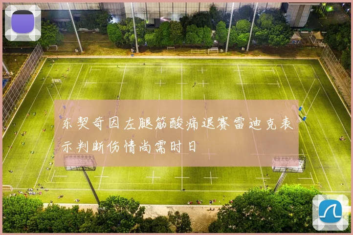 东契奇因左腿筋酸痛退赛雷迪克表示判断伤情尚需时日